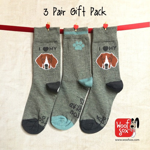 3 Pack Beagle Socks