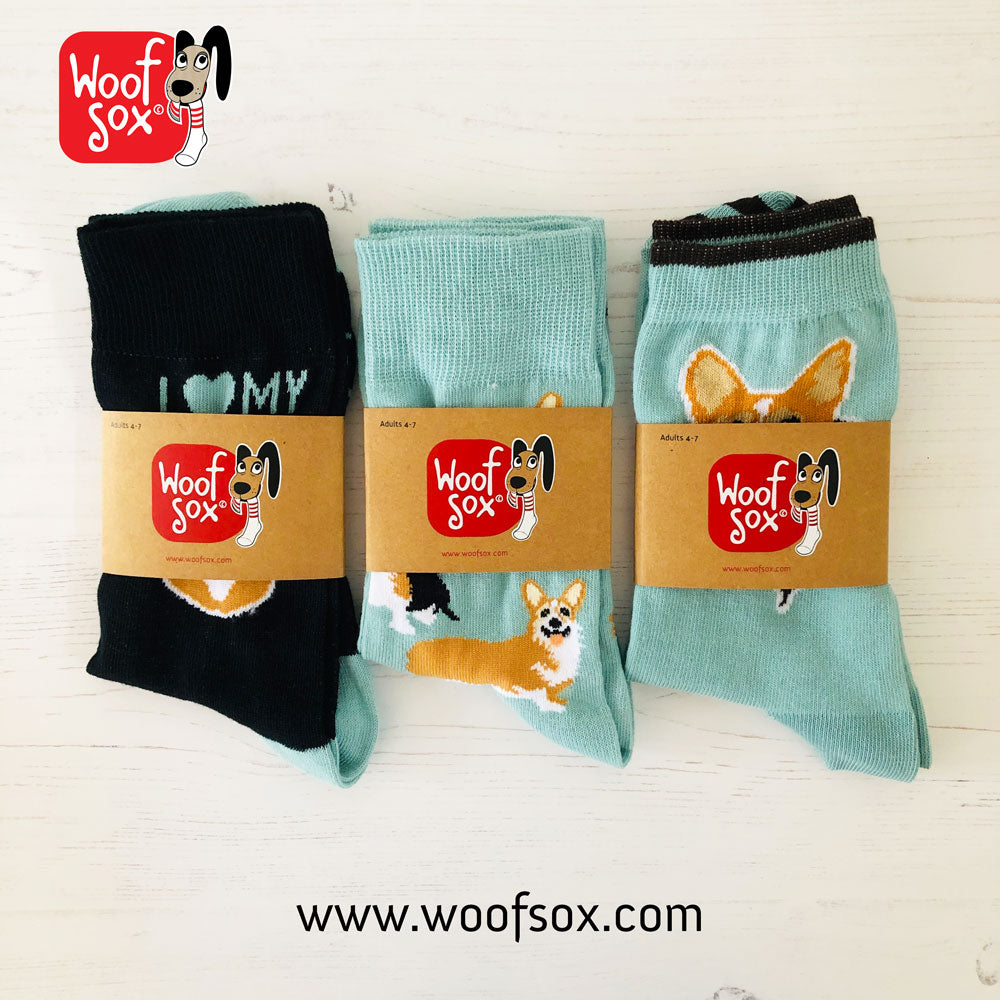 Corgi Gift Pack 3 Pair Socks for Welsh Corgi Rescue
