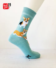 Load image into Gallery viewer, Corgi Gift Pack 3 Pair Socks for Welsh Corgi Rescue
