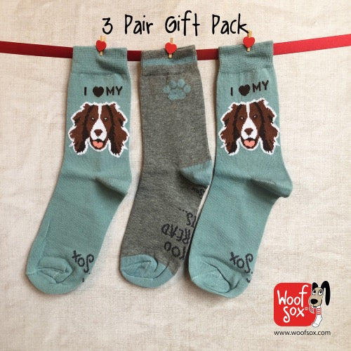 3 Pack Springer Spaniel Socks