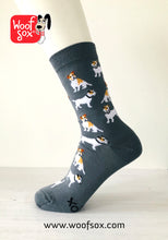 Load image into Gallery viewer, 3 Pack Jack Russell Terrier Socks
