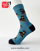 Load image into Gallery viewer, 3 Pack Rottweiler Socks
