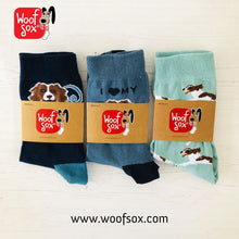Load image into Gallery viewer, Springer Spaniel Gift Pack 3 Pair Socks for English Springer Spaniel Welfare
