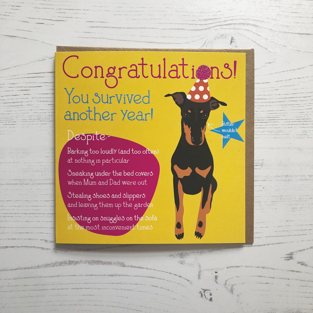 Manchester Terrier Greetings Card - Congratulations / Birthday