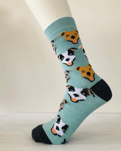 Load image into Gallery viewer, Staffie 3 Pair Sock Gift Pack
